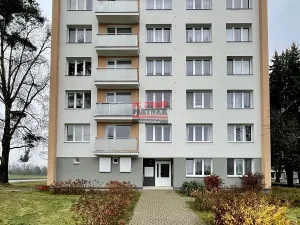 Pronájem bytu 2+1, Tábor, Petrohradská, 54 m2