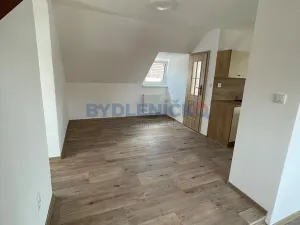 Pronájem bytu 2+kk, České Budějovice, Hradební, 57 m2