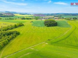 Prodej louky, Lešetice, 10193 m2