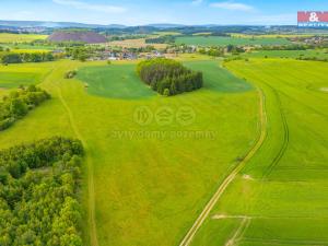 Prodej louky, Lešetice, 10193 m2