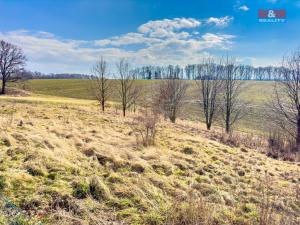 Prodej pozemku pro bydlení, Bílovec, 1. máje, 1002 m2