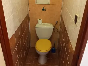 Prodej bytu 4+kk, Mělnické Vtelno, Chorušická, 103 m2