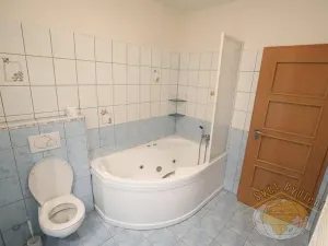 Pronájem bytu 1+kk, Praha - Košíře, Pod školou, 51 m2