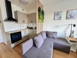 Pronájem bytu 1+kk, Praha - Žižkov, Basilejské náměstí, 37 m2