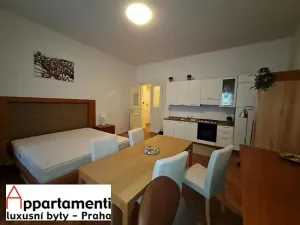 Prodej bytu 6+kk a větší, Praha - Staré Město, Masná, 176 m2