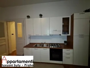 Prodej bytu 6+kk a větší, Praha - Staré Město, Masná, 176 m2