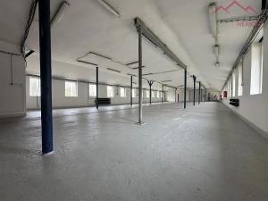 Pronájem výrobních prostor, Březno, 1200 m2