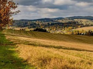 Pronájem bytu 5+kk, Vysoké nad Jizerou, K. Havlíčka Borovského, 164 m2