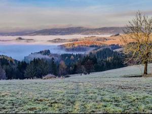 Pronájem bytu 5+kk, Vysoké nad Jizerou, K. Havlíčka Borovského, 164 m2