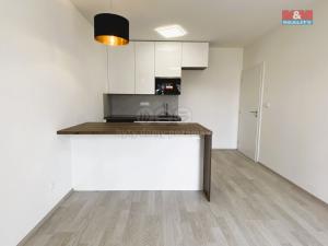 Pronájem bytu 2+kk, Žďár nad Sázavou, 45 m2