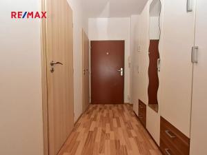 Pronájem bytu 1+kk, Praha - Vysočany, Freyova, 33 m2