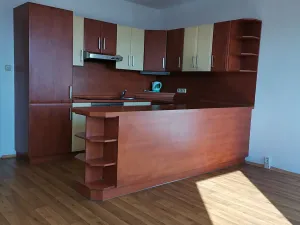 Prodej bytu 1+kk, Plzeň, Brněnská, 31 m2