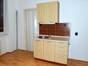 Pronájem bytu 1+kk, Ostrava - Poruba, Stavební, 21 m2