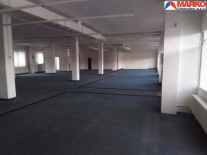 Pronájem obchodního prostoru, Chomutov, Školní pěšina, 460 m2