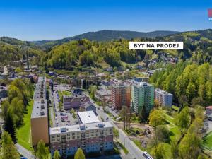 Prodej bytu 2+1, Desná - Desná II, Krkonošská, 54 m2