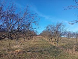 Prodej zahrady, Bojkovice, 2785 m2