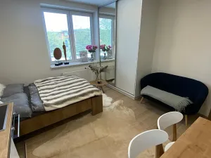 Pronájem bytu 1+kk, Zlín, Štefánikova, 30 m2