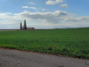 Prodej komerčního pozemku, Jaroměř, 9778 m2