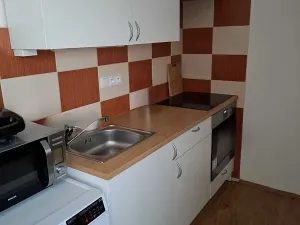 Pronájem bytu 1+kk, Přáslavice, 27 m2