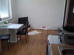 Pronájem bytu 1+kk, Přáslavice, 27 m2