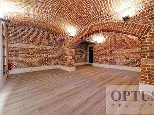 Pronájem bytu 6+kk a větší, Praha - Staré Město, Dušní, 218 m2