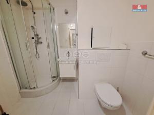 Pronájem bytu 2+kk, Čimelice, 60 m2