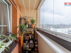 Prodej bytu 3+1, Frýdek-Místek - Frýdek, Novodvorská, 79 m2