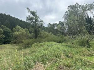 Dražba pozemku, Toužim, 791 m2