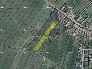 Prodej podílu pole, Moravský Žižkov, 1898 m2