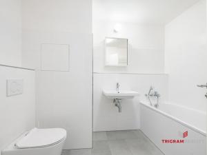 Pronájem bytu 2+kk, Brandýs nad Labem-Stará Boleslav, 54 m2