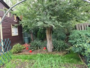 Prodej chaty, Praha - Hostavice, 60 m2