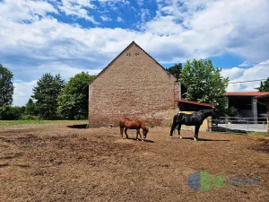 Prodej rodinného domu, Záryby, 175 m2