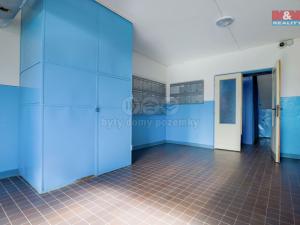 Prodej bytu 3+1, Chomutov, Borová, 63 m2
