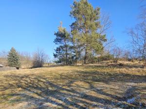 Prodej louky, Lipová - Seč, 668 m2