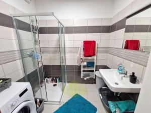 Pronájem bytu 1+kk, Olomouc, Tovární, 33 m2