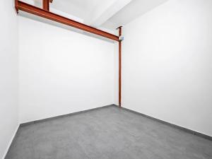 Pronájem bytu 3+kk, Praha - Vinohrady, Římská, 175 m2