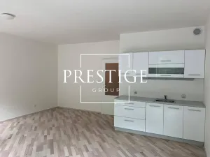Pronájem bytu 1+kk, Praha - Vysočany, Za Krejcárkem, 42 m2