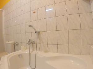 Pronájem bytu 3+kk, České Budějovice, Hradební, 86 m2