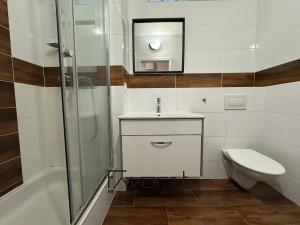 Pronájem bytu 1+1, Ostrava, Aviatiků, 42 m2