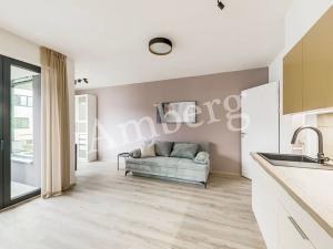 Pronájem bytu 1+kk, Praha - Karlín, U Sluncové, 33 m2