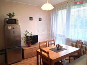 Pronájem bytu 1+1, Teplice - Trnovany, Jana Koziny, 41 m2