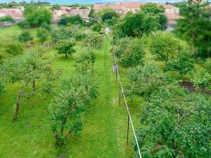 Prodej rodinného domu, Vyškov, náměstí Svobody, 600 m2