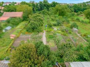 Prodej rodinného domu, Vyškov, náměstí Svobody, 600 m2