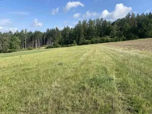 Dražba pole, Čížkov, 26931 m2