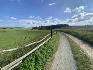 Dražba pole, Čížkov, 26931 m2