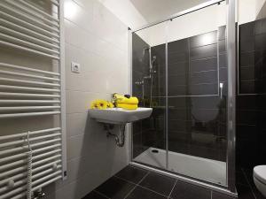 Pronájem bytu 2+kk, České Budějovice, Na Zlaté stoce, 51 m2
