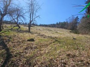 Prodej pozemku, Dlouhý Újezd, 3343 m2