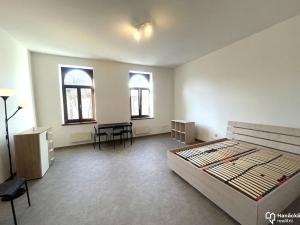 Pronájem bytu 1+kk, Olomouc, Fibichova, 38 m2