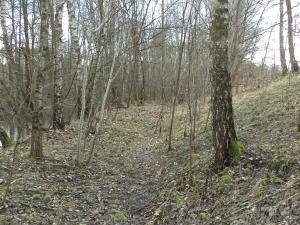 Dražba louky, Jindřichův Hradec, 1150 m2