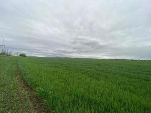 Prodej komerčního pozemku, Brno, 9415 m2